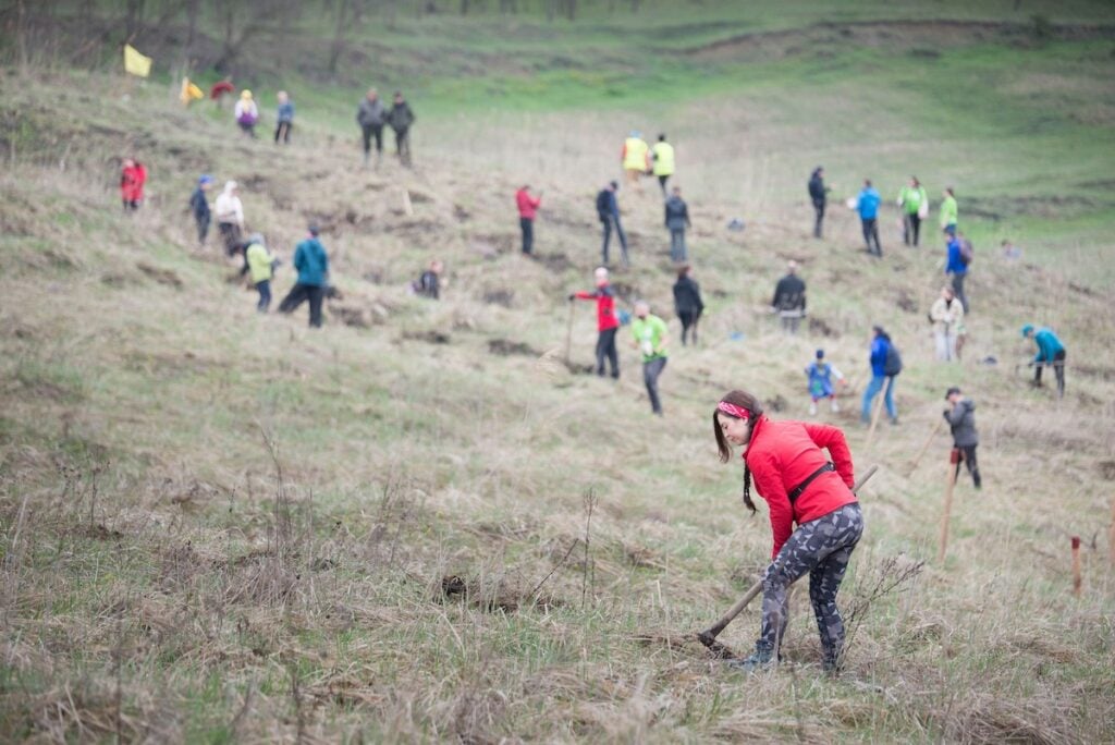 Plantare de puieți la Copșa Mică/Foto: Cu verdele-n SUS/Facebook