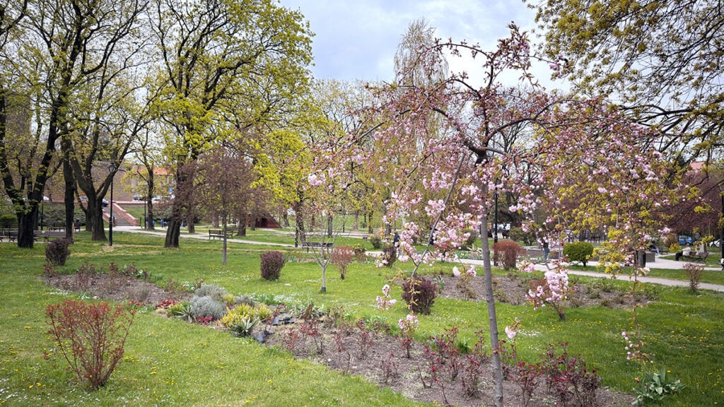 foto arhiva turnulsfatului.ro