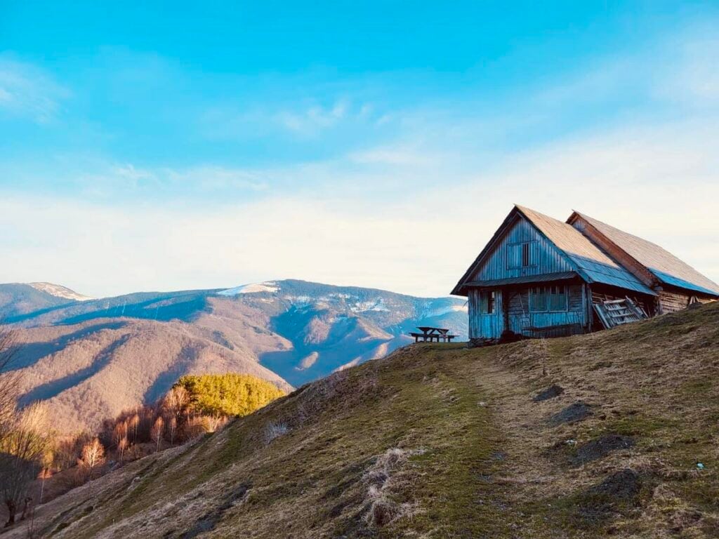 tara coliberlor poveste cj foto daniela cimpean fb2