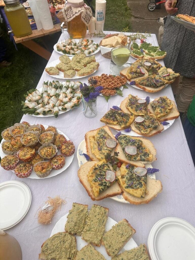 ziua leurdei la richis5