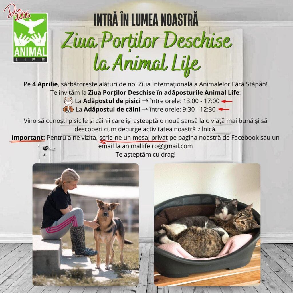 ziua portilor deschise animal life