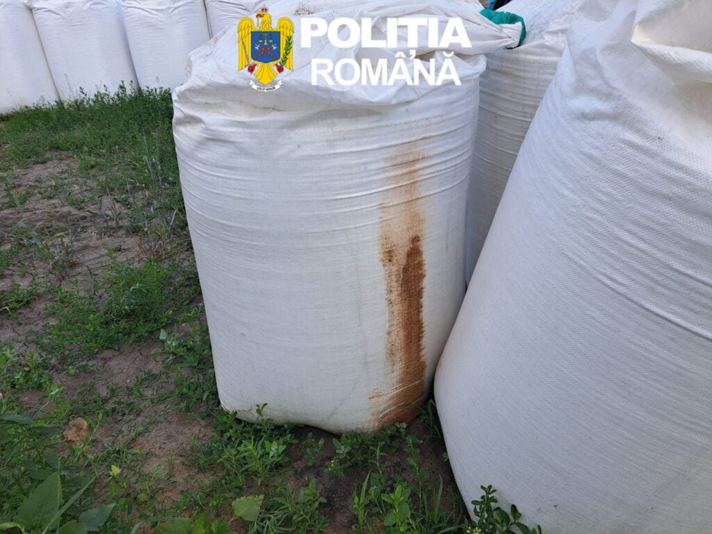 Foto Poliția Sibiu