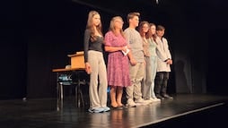 Pisa de teatru economic11