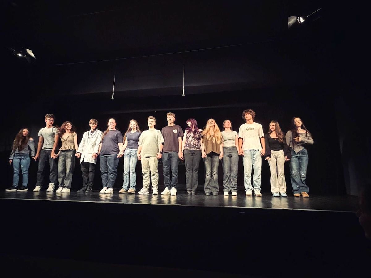 Piesa de teatru urmărește povestea lui Luca, un adolescent într-o permanentă luptă cu dependența și presiunea socială. Sursa foto: Colegiul Economic