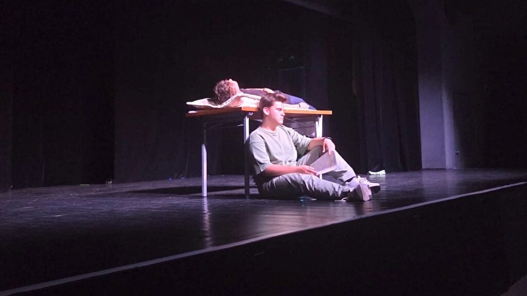 Pisa de teatru economic4
