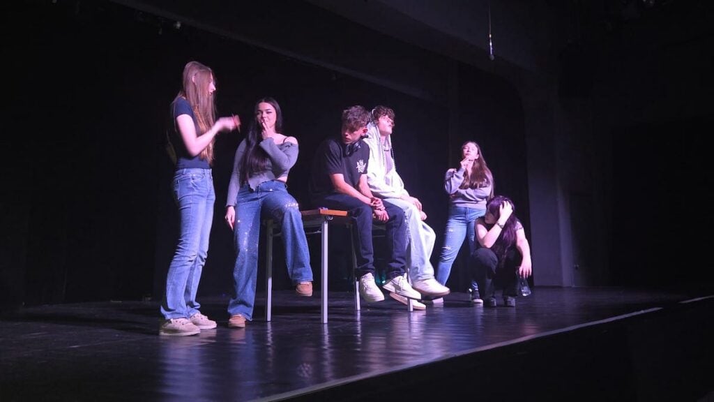 Pisa de teatru economic5