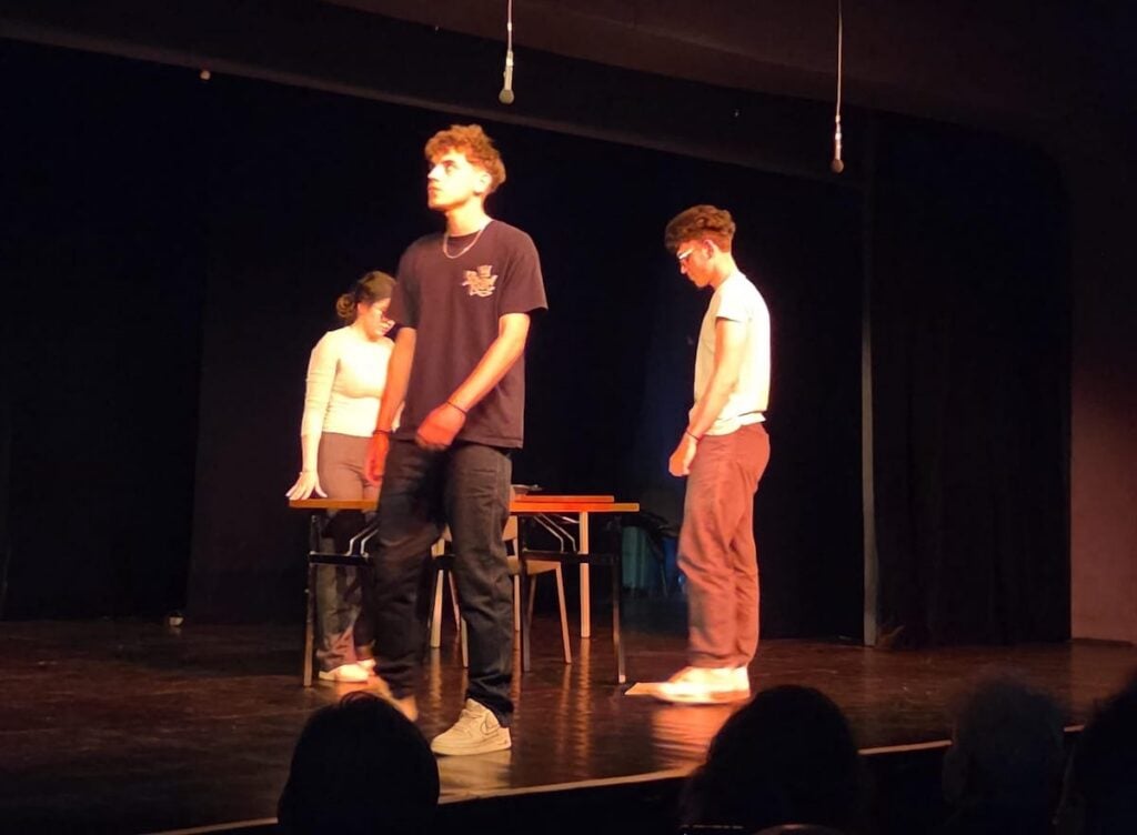 Pisa de teatru economic6