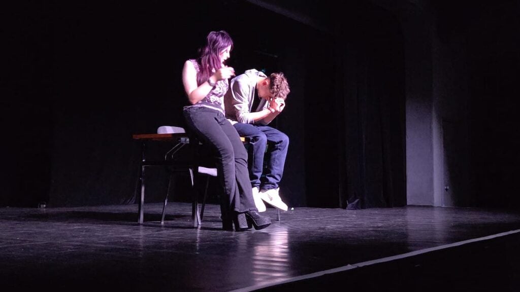 Pisa de teatru economic7