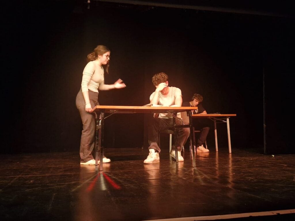 Pisa de teatru economic8