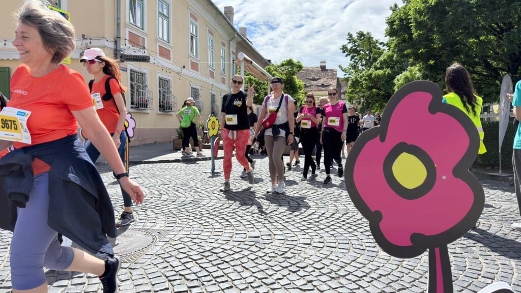 Street Delivery maraton (3)