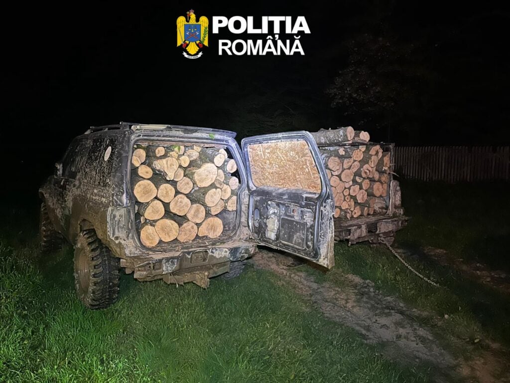Taiere și furt de abori 1