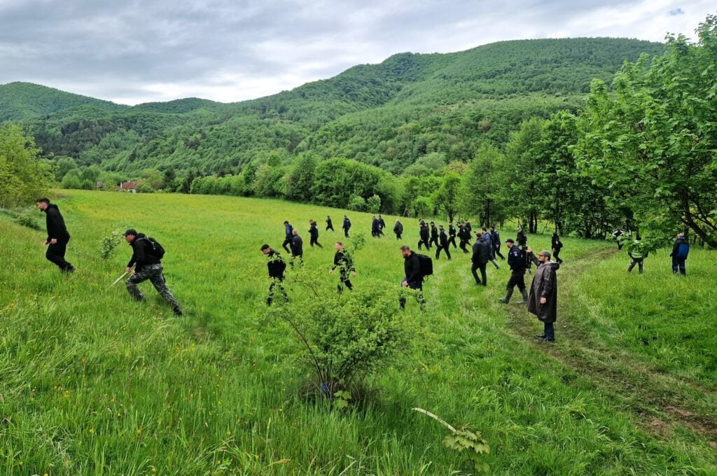 În căutarea lui Alex. Sursa foto: turnulsfatului.ro