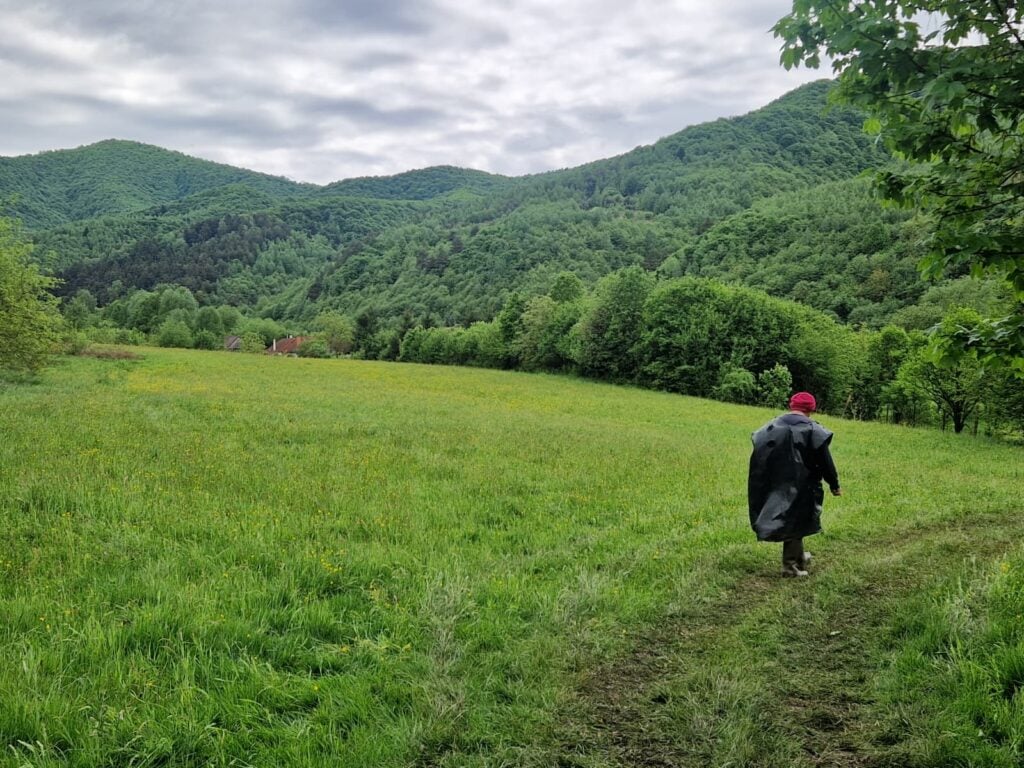 cautari copil toma zerestea(1)