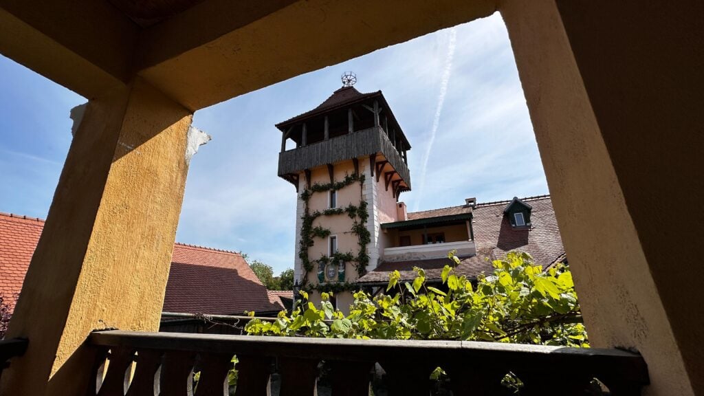 conacul flanderhof manor17