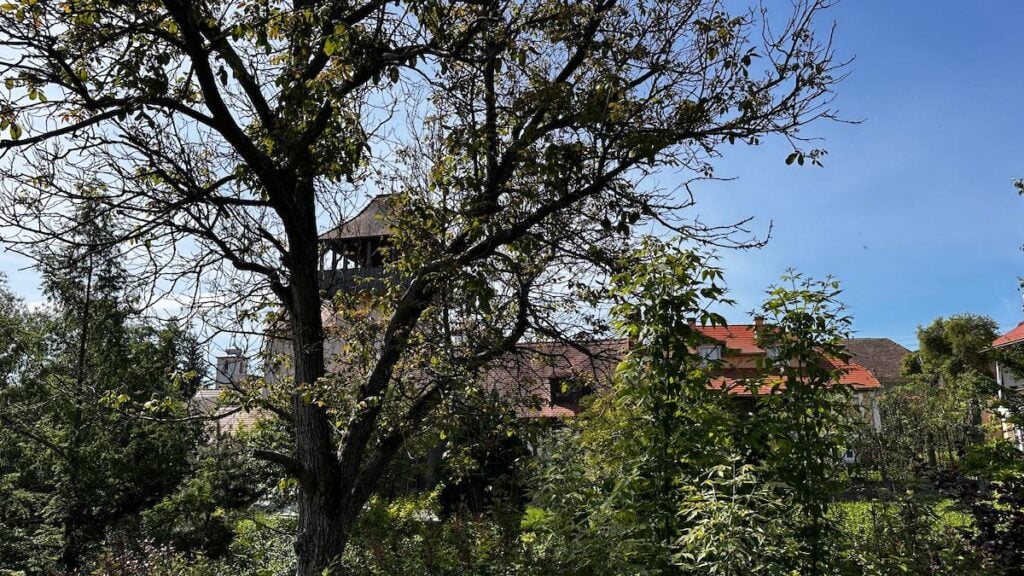 conacul flanderhof manor22
