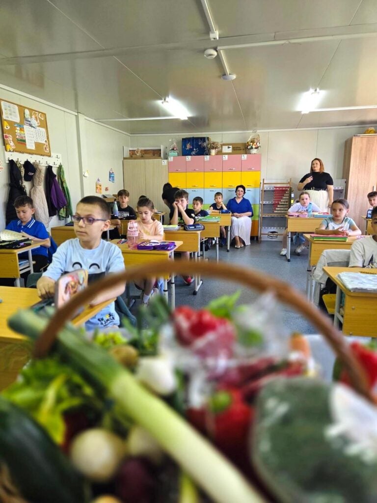 dr doina acromita scoala mihai viteazu selmbar7