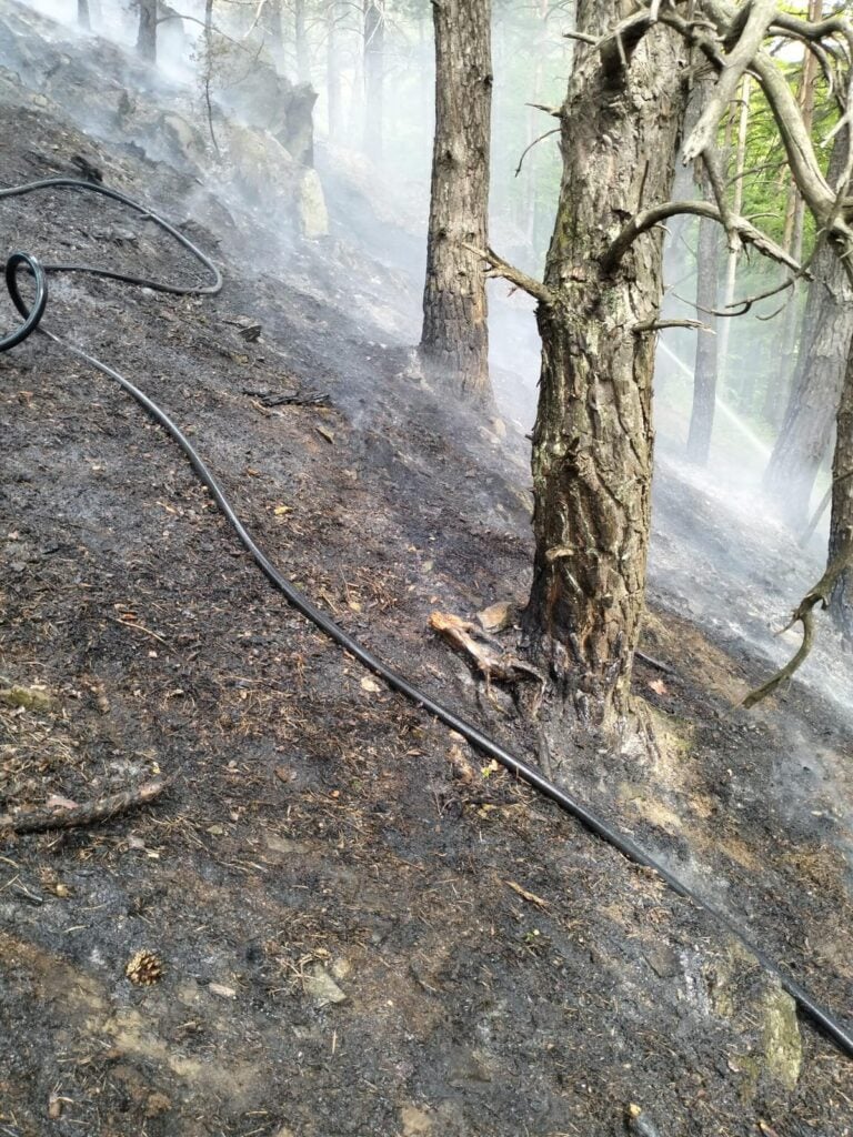 incendiu padure