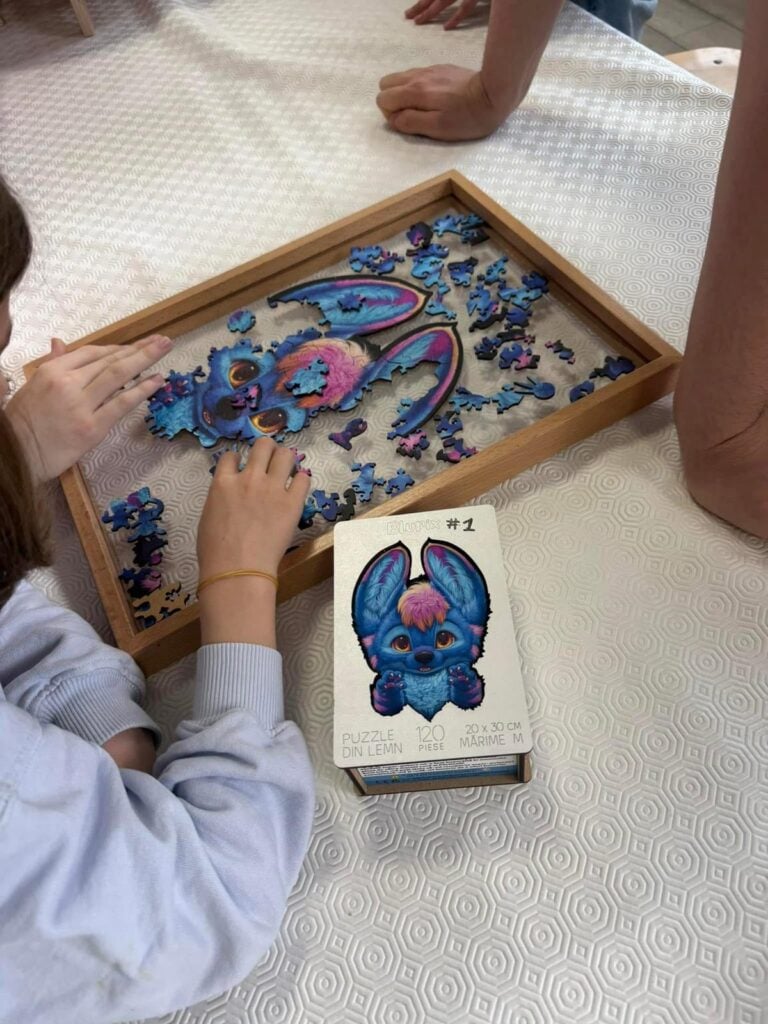 junior puzzle race1
