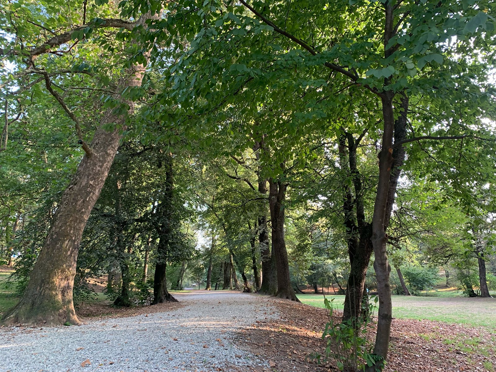 parc sub arini (3)