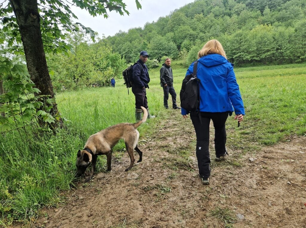 Una din intrările în poiana din care a dispărut Alex. Sursa foto: turnulsfatului.ro