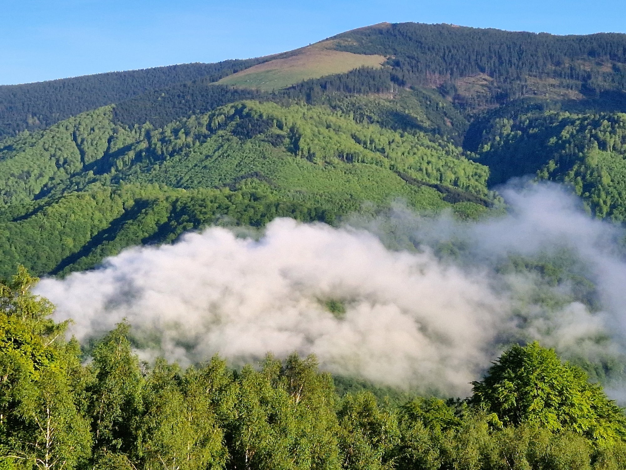 La munte se anunță ploi în a doua parte a zilei. Foto: turnulsfatului.ro