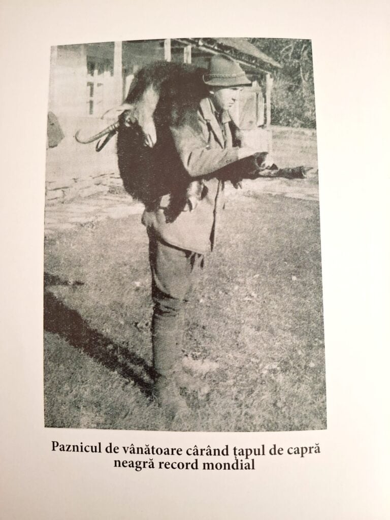 Foto: Tamás Sándor