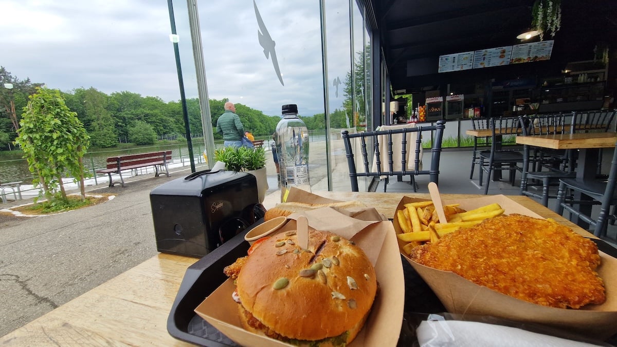 restaurant zoo sibiu