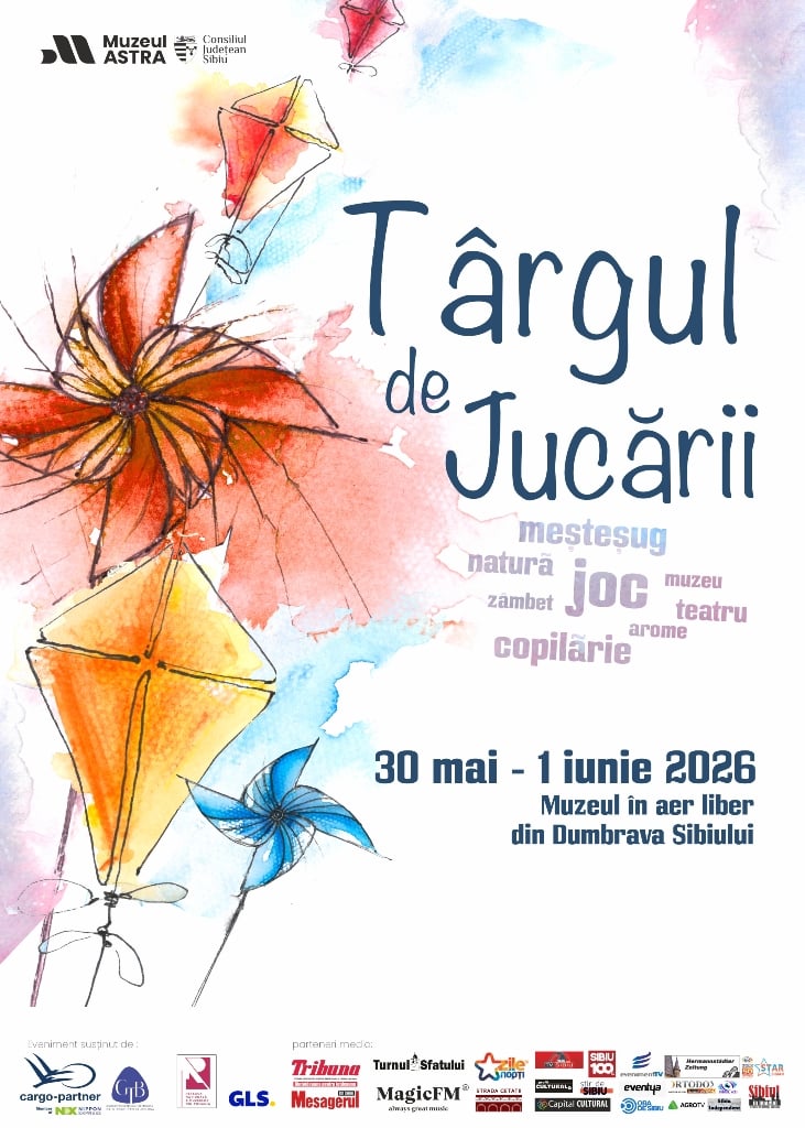 targ de jucarii foto muzeul astra1