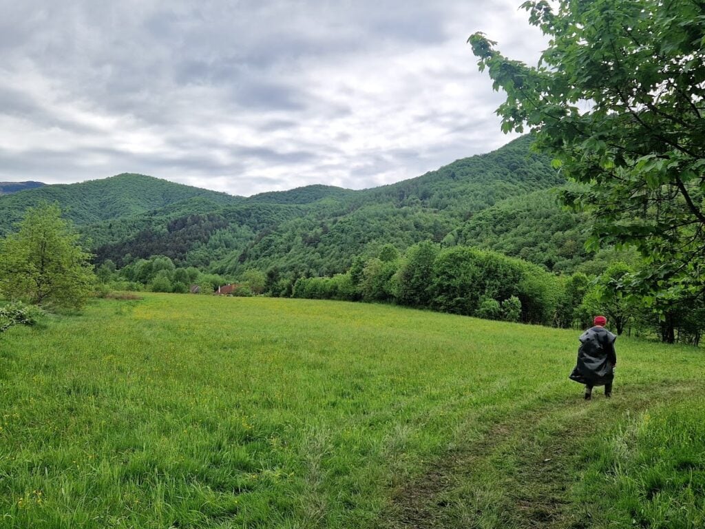 Tatăl lui Alex, în zona poienii de unde i-a dispărut fiul. Sursa foto: turnulsfatului.ro