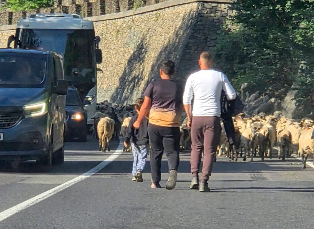 buna oi valea oltului
