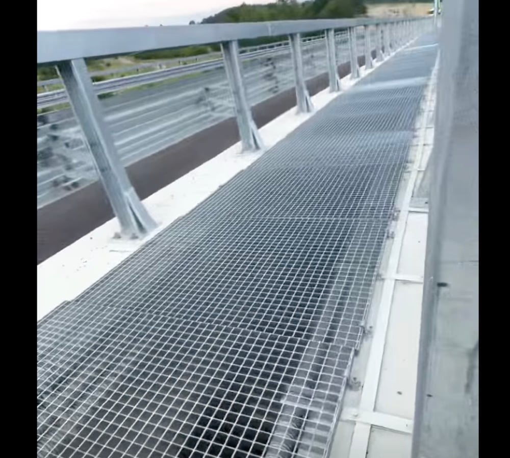 Foto: Captură video Facebook Ionel Scrioșteanu