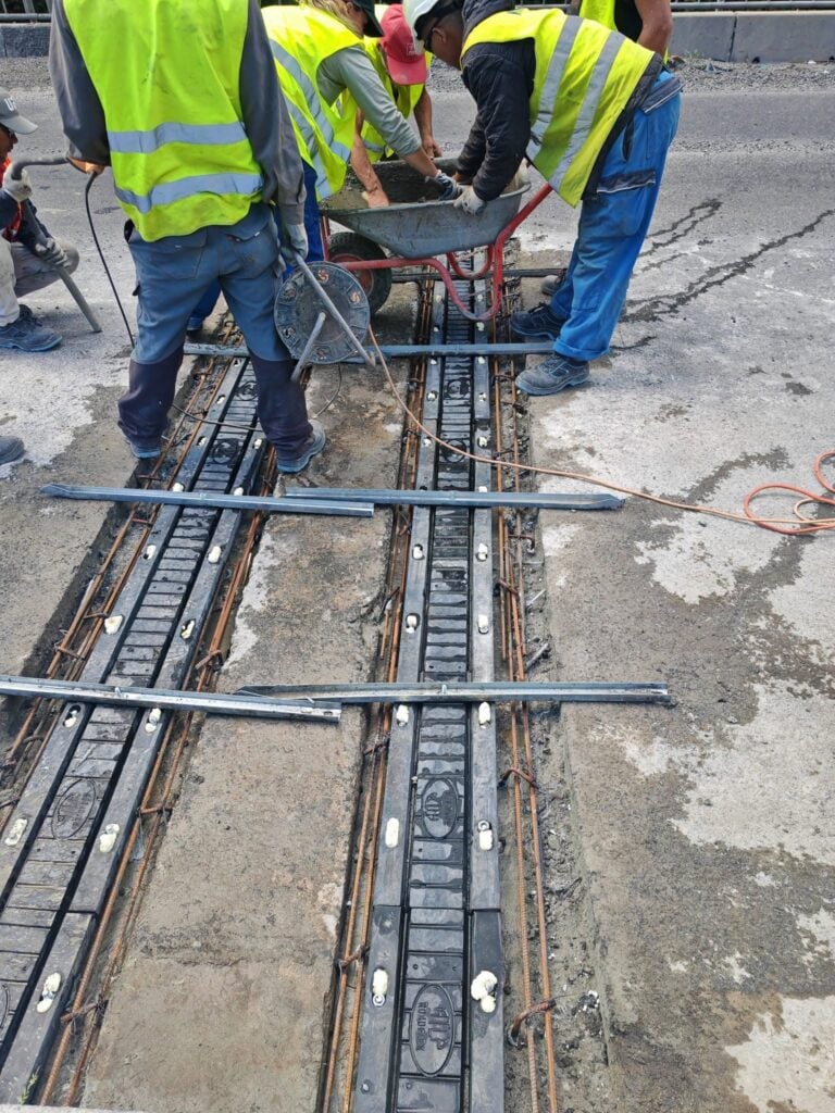 Foto: DRDP Craiova