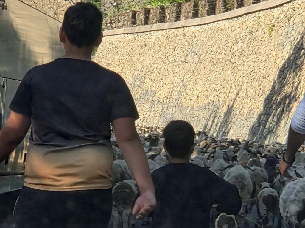 oi valea oltului 1