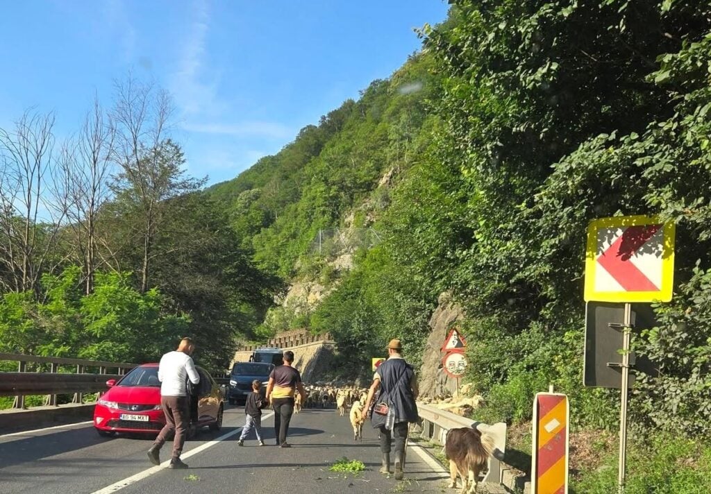 Sursa imaginilor: Facebook / InfoTrafic Sibiu / Irina Chinceș