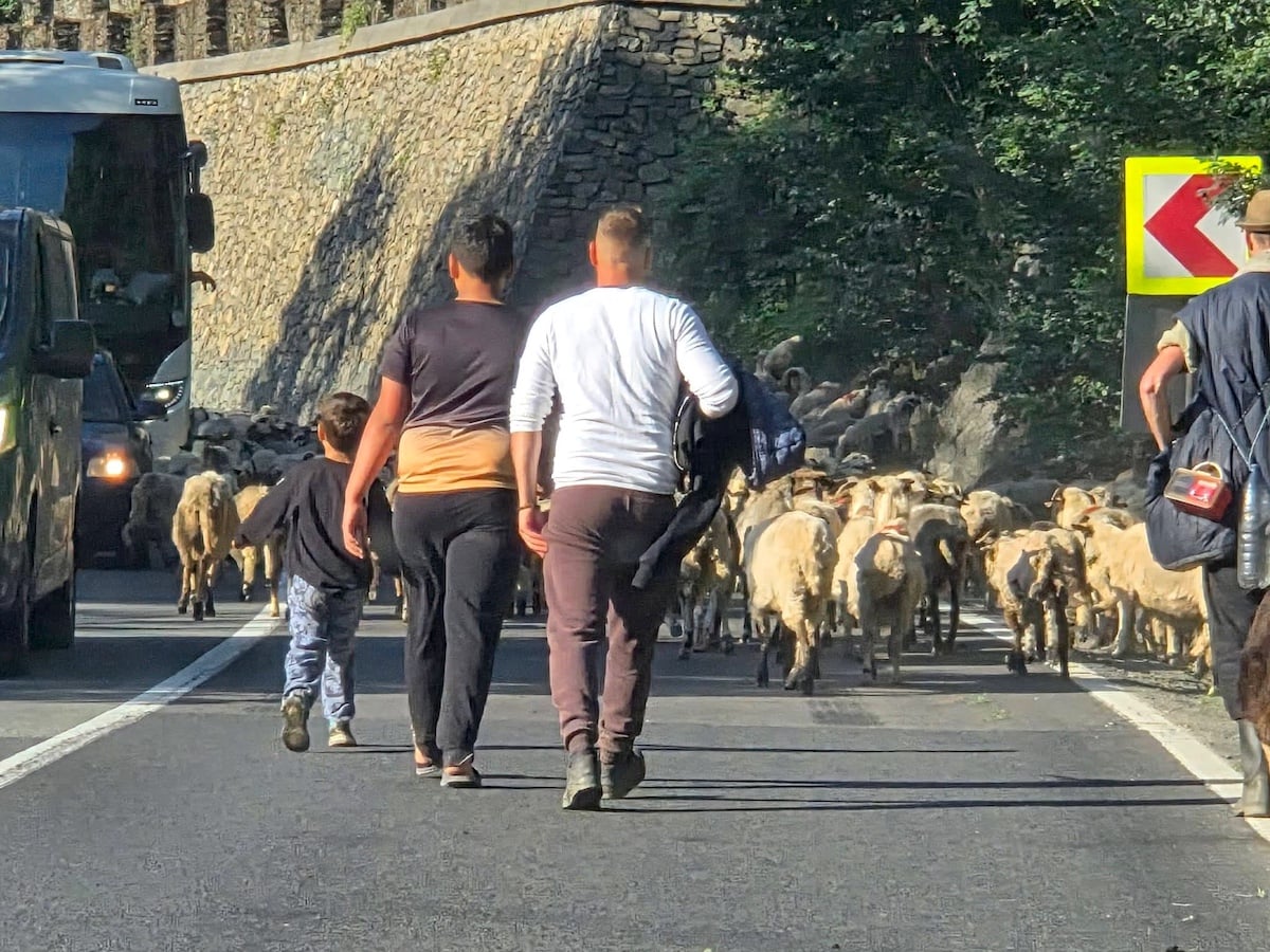 Sursa imaginilor: Facebook / InfoTrafic Sibiu / Irina Chinceș