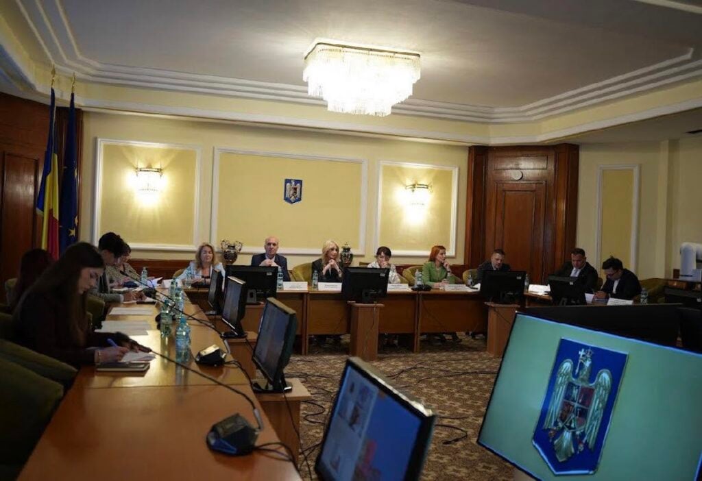 raluca turcan intalnire de lucru publicitate foto fb raluca turcan1