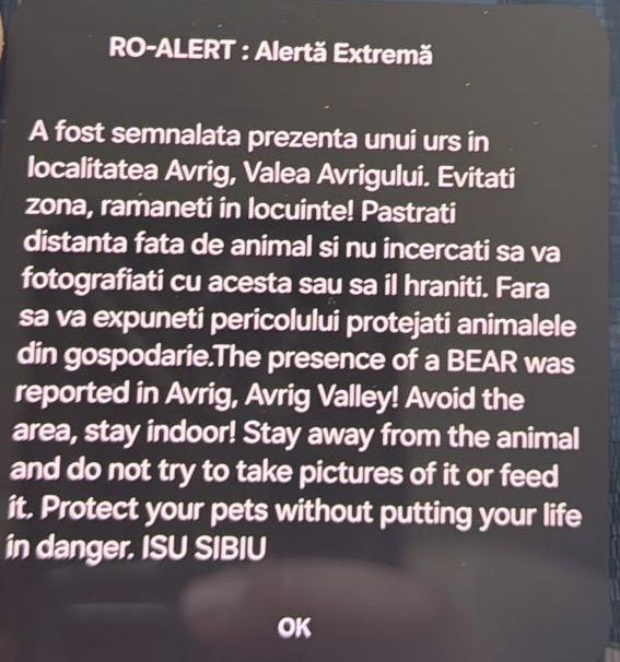 roalert urs valea avrigului