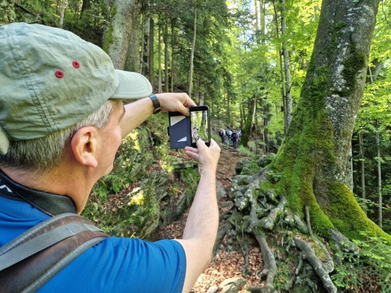 În pădurile virgine de deasupra Arpașului de Sus am întâlnit turiști și cercetători din alte țări. Foto: turnulsfatului.ro