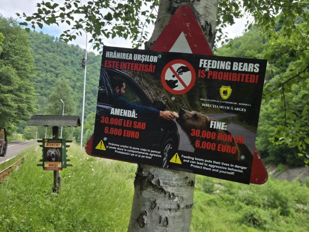 Foto Prefectură Argeș