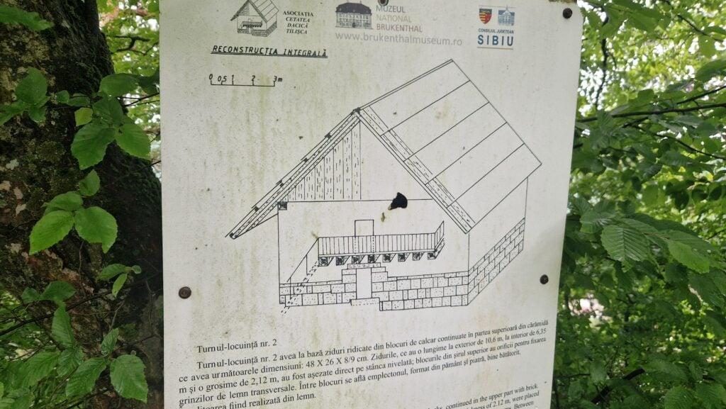 Cum ar fi putut arăta turnul - locuință. Schiță în baza descoperirilor existente deja la Tilișca