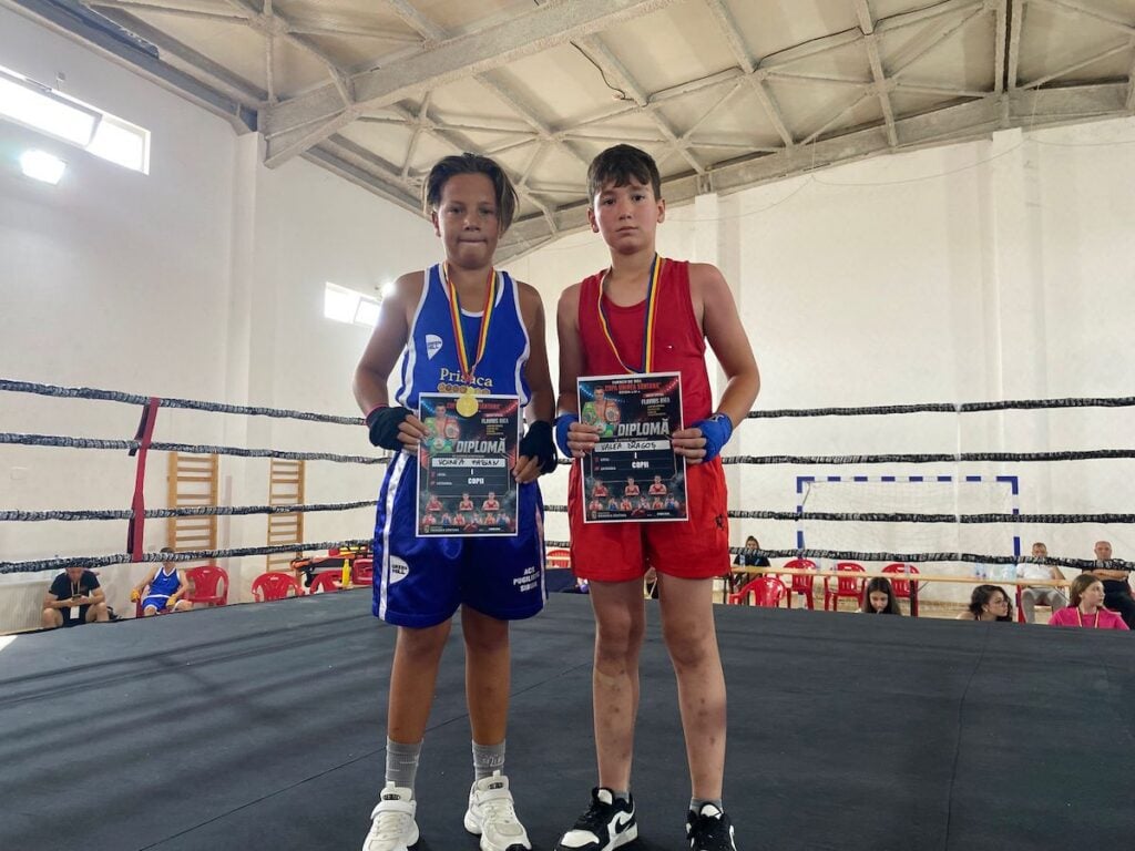 ACS Pugilistic3