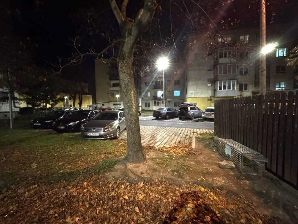 Custi capcana si vulpi relocate5