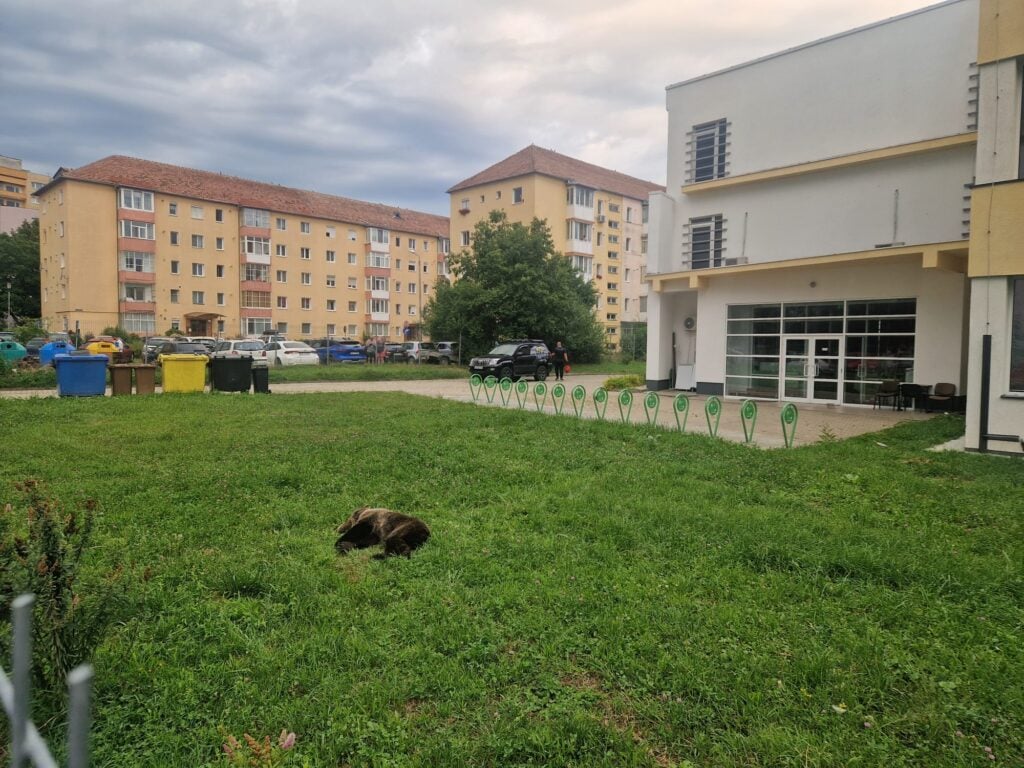 foto turnulsfatului.ro