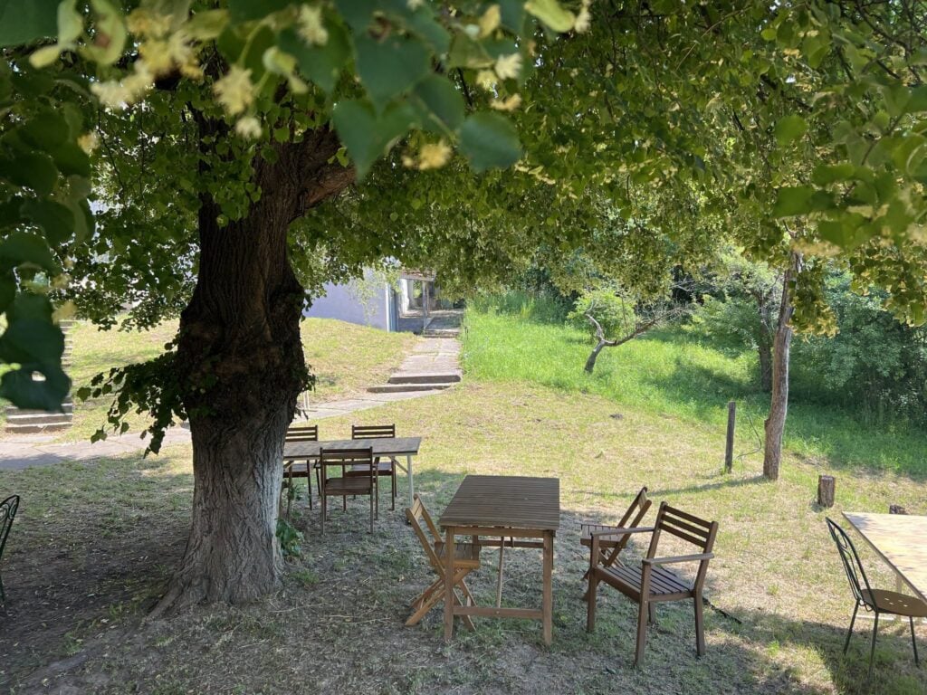 foto CJ Sibiu