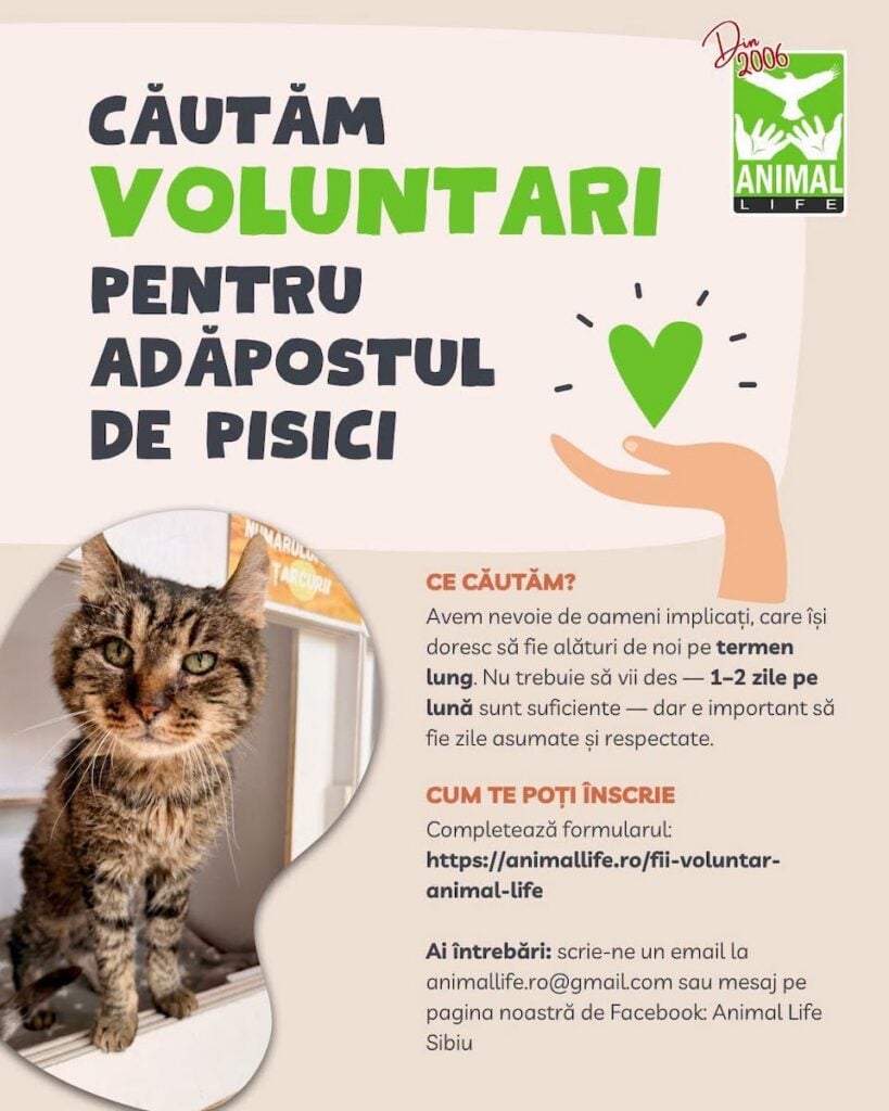 animal life voluntari foto fb
