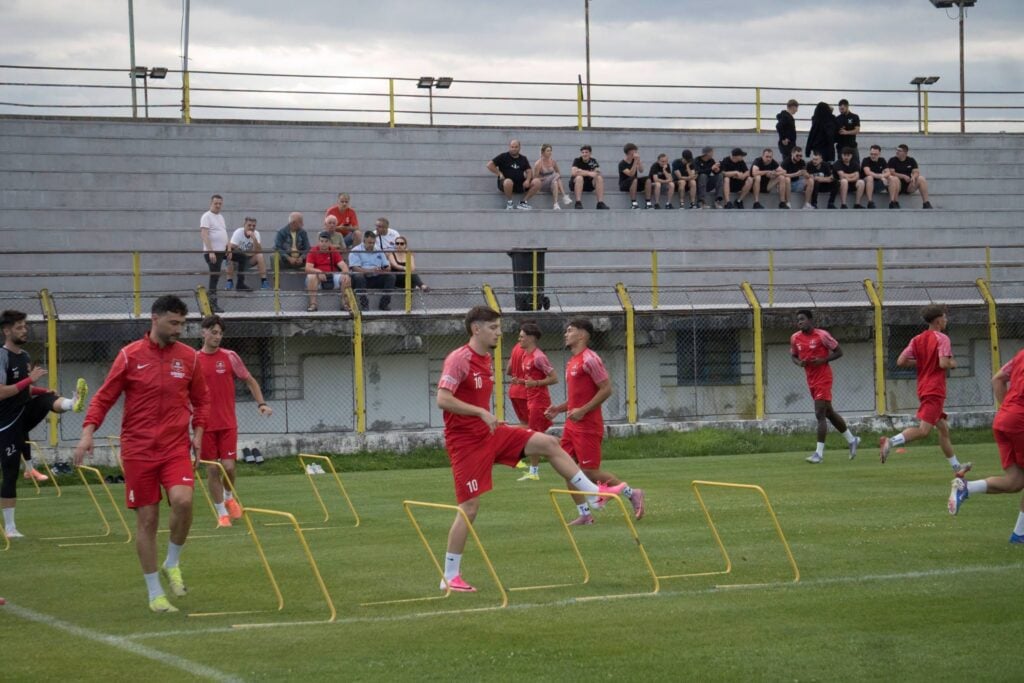 Foto FC Hermannstadt / Facebook