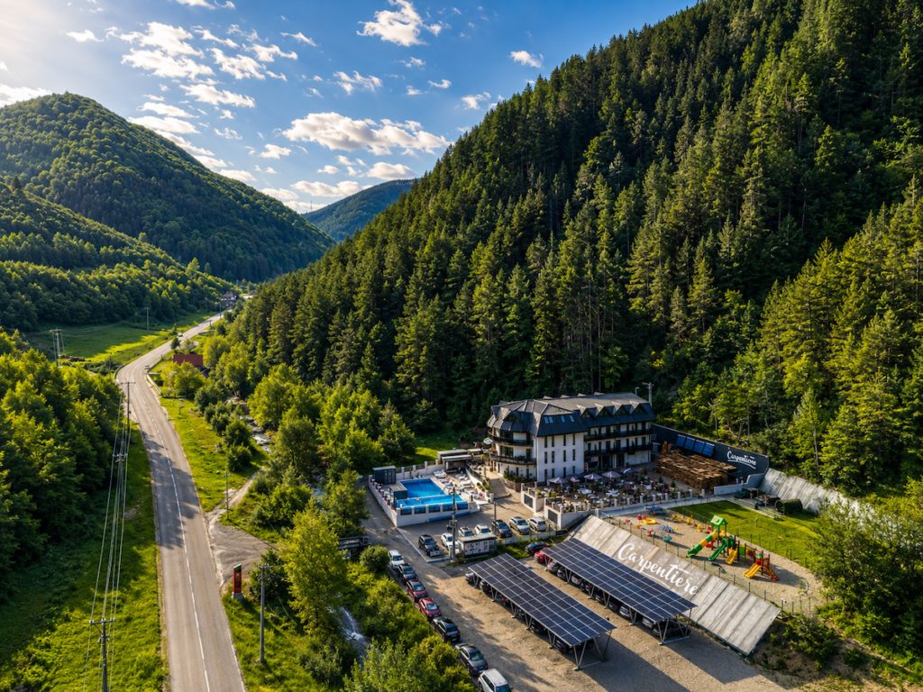 carpentiere arena publicitate5