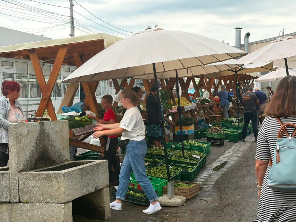 castraveti producatori locali piata cibin