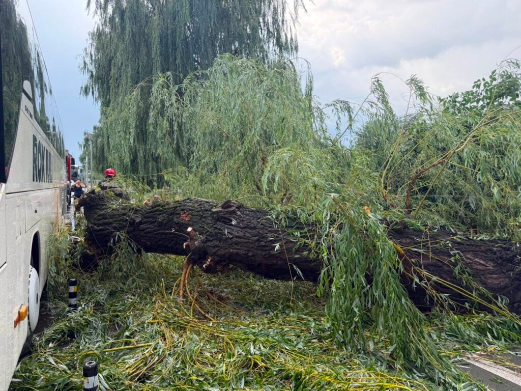 foto ISU Sibiu