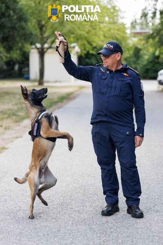 Foto Poliția Sibiu